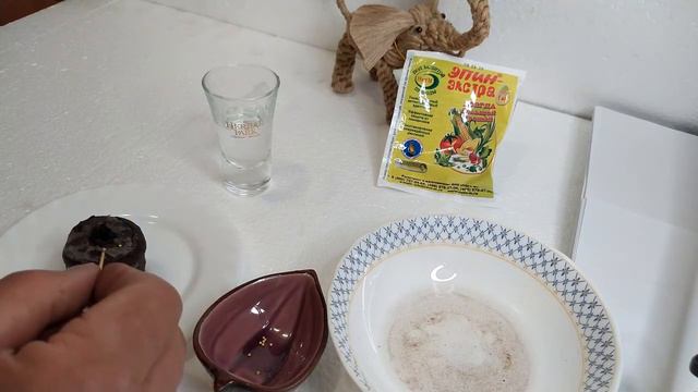 Петуния. Правильная посадка. Отличный результат. смотреть онлайн