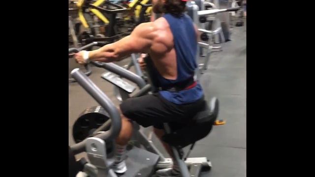 SEATED ISO-ROW (HAMMER GRIP) смотреть онлайн