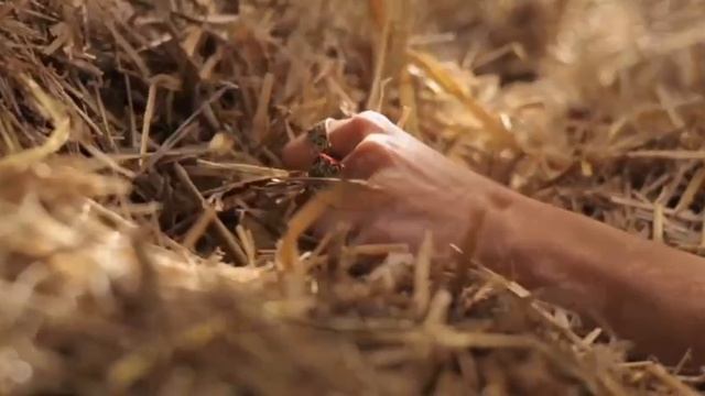 Андрей Гражданкин - Деревня смотреть онлайн