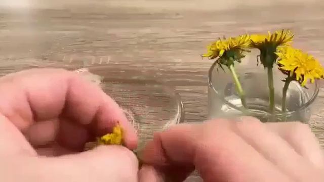 оЗДОРОВление. Укрепление иммун итета и тела