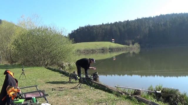 ЕСТЬ ПЕРВЫЕ КАРПЫ СЕЗОНА 2021 | Карповая рыбалка на озере Градишко (Словения) смотреть онлайн