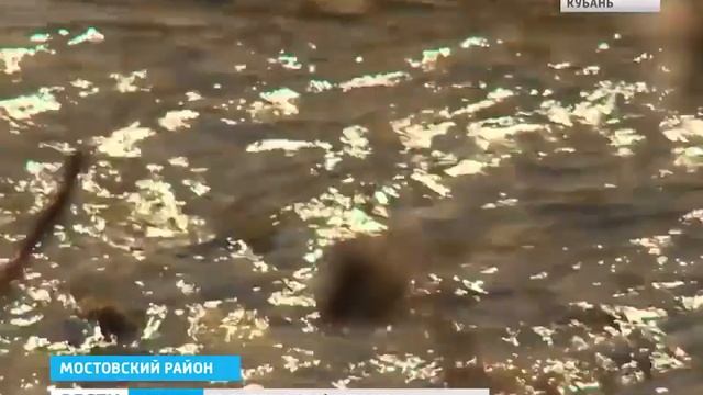 Кабардинская порода лошадей не имеет себе равных в дальних походах. Kabardian horses! смотреть онлайн