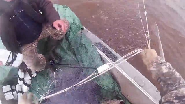 Рыбалка сетями, на Амуре, ловля кеты. сплавы смотреть онлайн