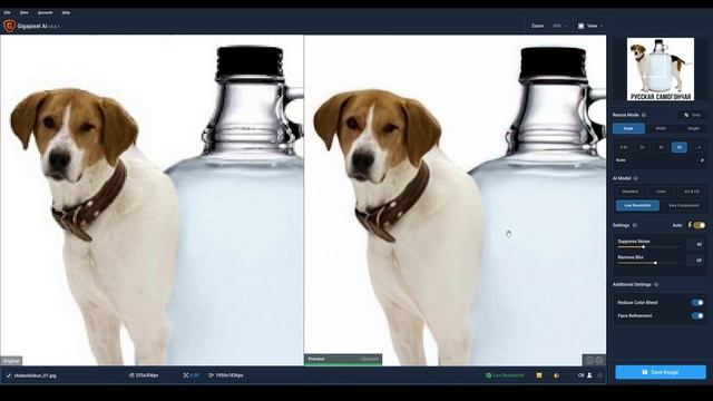 Нейросеть для Улучшения Качества Изображения - "Topaz Gigapixel AI" смотреть онлайн