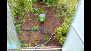 Кран-тройник для воды с таймером автоматического капельного полива | #Обзор