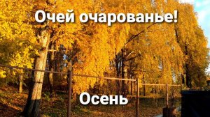 Это просто цирк какой-то!!! Это надо видеть!!!