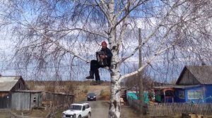 Обломал немало веток, наломал немало дров - на баяне