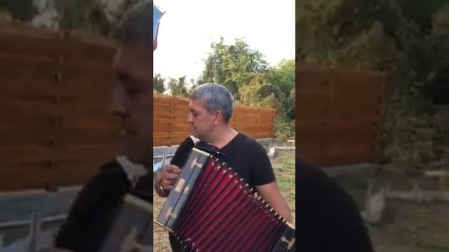 хоро красивое смотреть онлайн