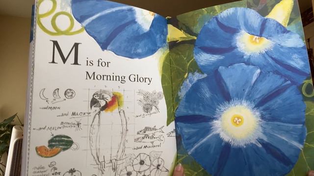 Storytime: Garden of Ordinary Miracles смотреть онлайн