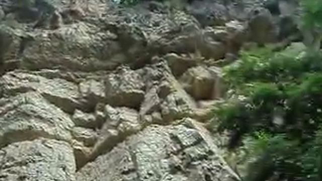 MOV02154 смотреть онлайн