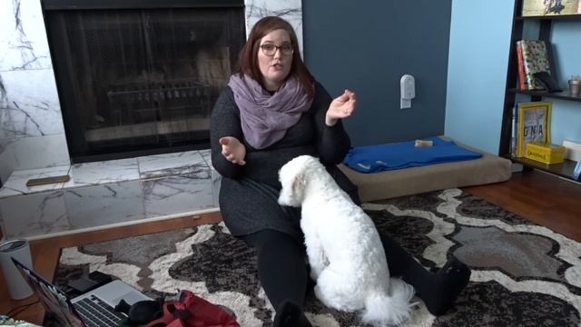 How We Discovered The Coton de Tulear Breed & Got Our First Coton! смотреть онлайн