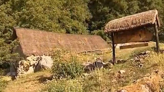 La mietitura del Segale " Da Vallisneri ai giorni nostri " VerdeAzzurroTv смотреть онлайн