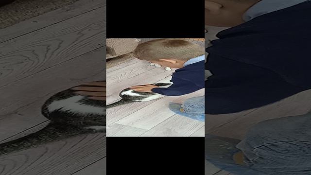 КОШКИН ДОМ!!!!