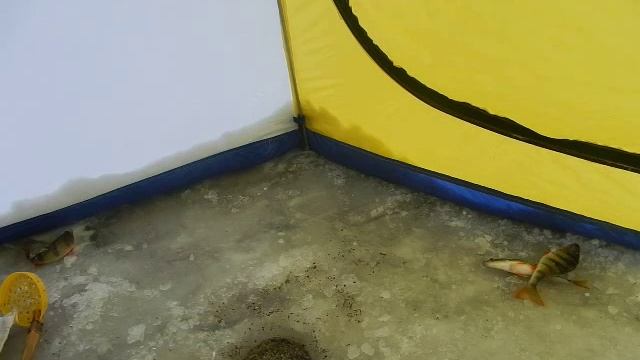 Рыбалка " Порыбачил от души " Fishing in Siberia смотреть онлайн