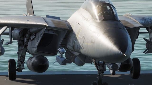 DCS F14 Tomcat Montage смотреть онлайн