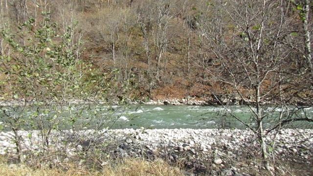 MVI_9172 смотреть онлайн