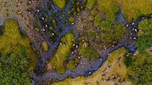 HDR 4K видео с высокой контрастностью для проверки матриц тв и мониторов