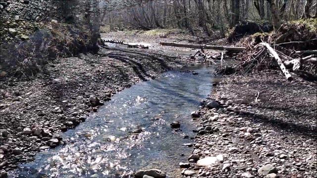 Живая вода смотреть онлайн