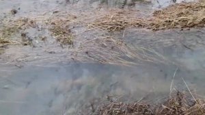 Мини ГЭС погружная.Часть 1,подготовка русла