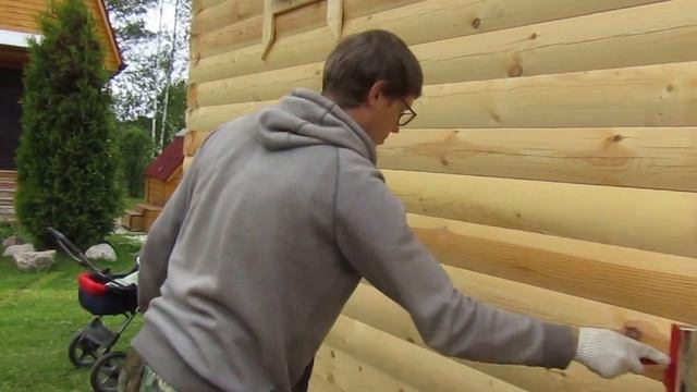 дачный влог-жарим свинину, красим баню