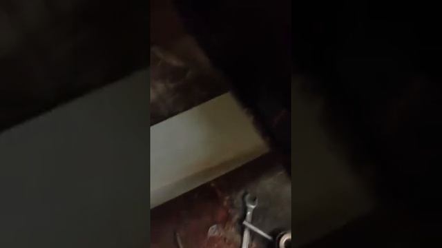 салфетки sushi wok! смотреть онлайн