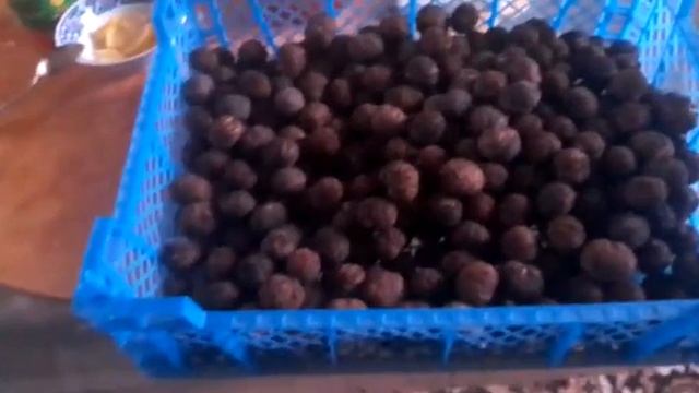 Черный орех на семена стратификацию смотреть онлайн