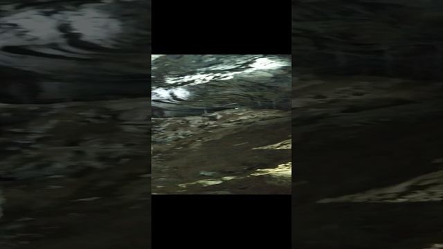 VID_20220619_110926.mp4