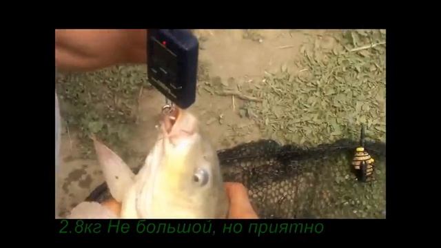 Рыбалка 2012 смотреть онлайн