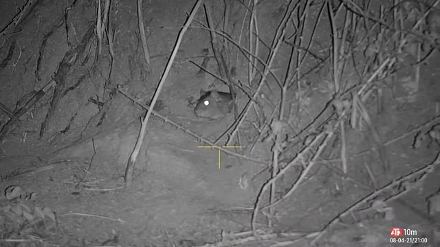 Rats No19 смотреть онлайн