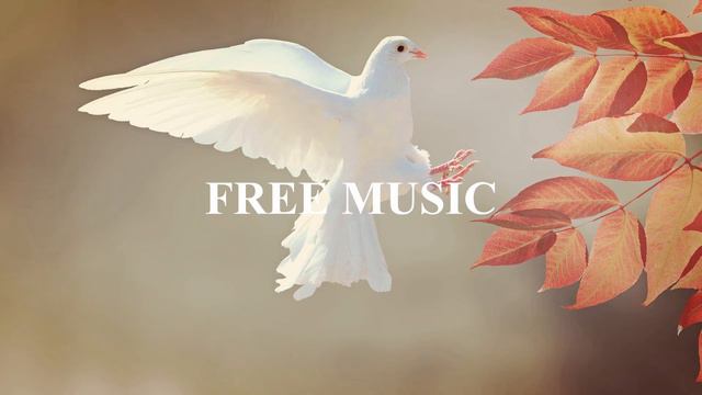 (БЕСПЛАТНАЯ МУЗЫКА ссылка для скачивания в описании) Birds Scandinavianz Vlog No Copyright Music смотреть онлайн