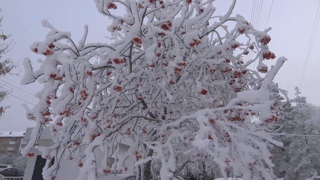 город уфа 30 ноября 2022. кругом изморось иней снег на деревьях. красота вокруг смотреть онлайн