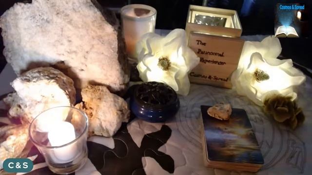 SCORPIO! ~ "You Have A Copy Cat!" ~ Timeless Scry And Oracle Reading ~ October, 2022 смотреть онлайн