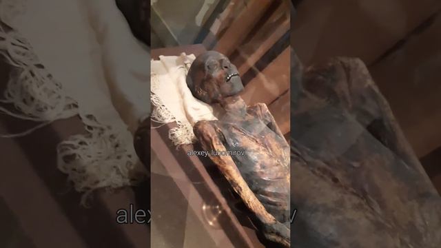 ЕГИПЕТСКИЙ ЖРЕЦ, МОЙ КОЛЛЕГА смотреть онлайн