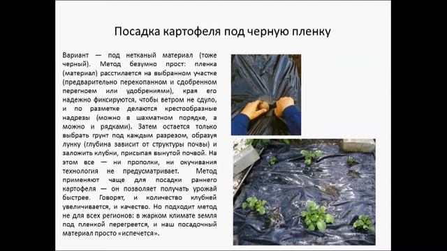 Необычные способы посадки картофеля смотреть онлайн