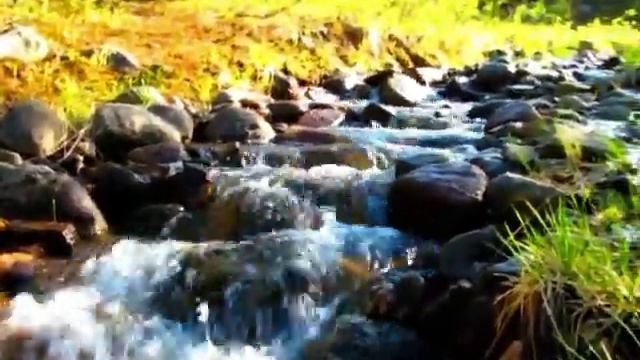 Заозерск яркое лето. смотреть онлайн