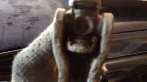 Замена крестовины рулевого вала Рено Клио 2 АТ 2003г.в.