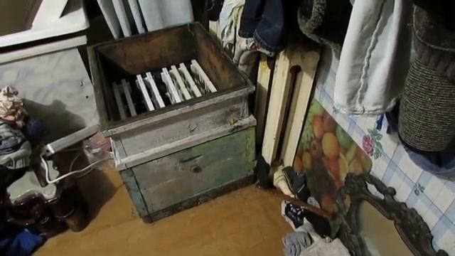анализатор воздуха D9H на пасеке, проверяю ульи разных производителей по прибору смотреть онлайн