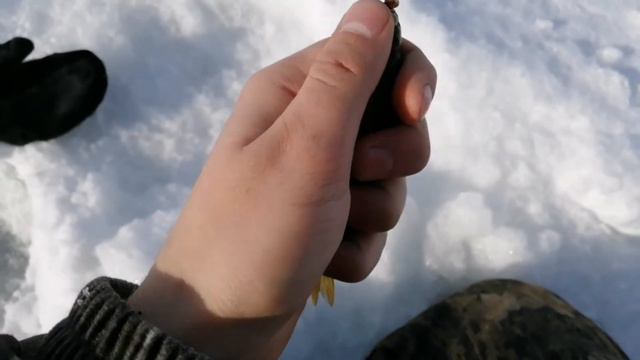 Ловля окуня в глухозимье 2021 смотреть онлайн