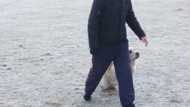 Команда Рядом(часть1)