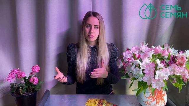 РОСКОШНЫЕ СОРТА БАРХАТЦЕВ, О КОТОРЫХ ВЫ ЕЩЕ НЕ СЛЫШАЛИ! смотреть онлайн