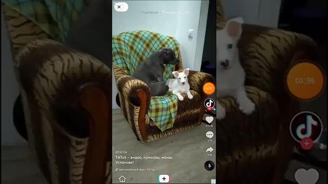 ?как сделать иконки как у айфона?с помощью 1-го приложения смотреть онлайн