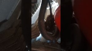 5 причин почему не заводится мотоцикл Минск