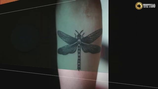Best Awesome Dragonfly Tattoo Design Idea смотреть онлайн
