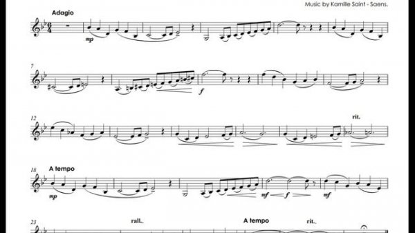 Saint - Saens - The Swan (Le Cygne) - Sergei Nakariakov trumpet Bb