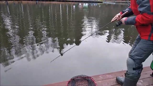 Утренние поимки форели на силиконовый "доширак". Спорт зона в Клёвом месте на лосином острове смотреть онлайн