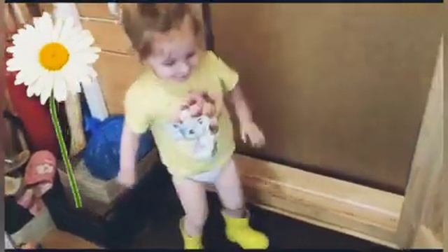 ?Ромашка на даче???️ смотреть онлайн