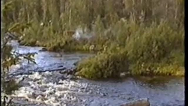 Немного походных будней смотреть онлайн