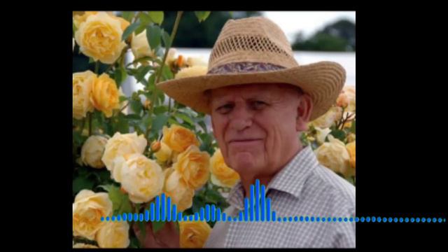 दुनिया का सबसे महंगा😯 गुलाब!! The world's most expensive rose || B12 fact || смотреть онлайн