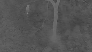 Buck - Autel Evo II Dual 640T V3