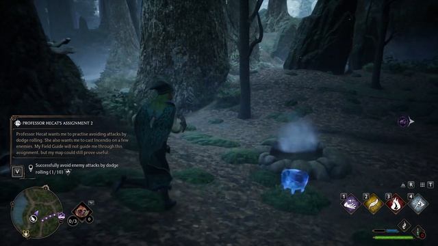 Hogwarts Legacy. смотреть онлайн